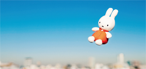 miffy~miffy~miffy